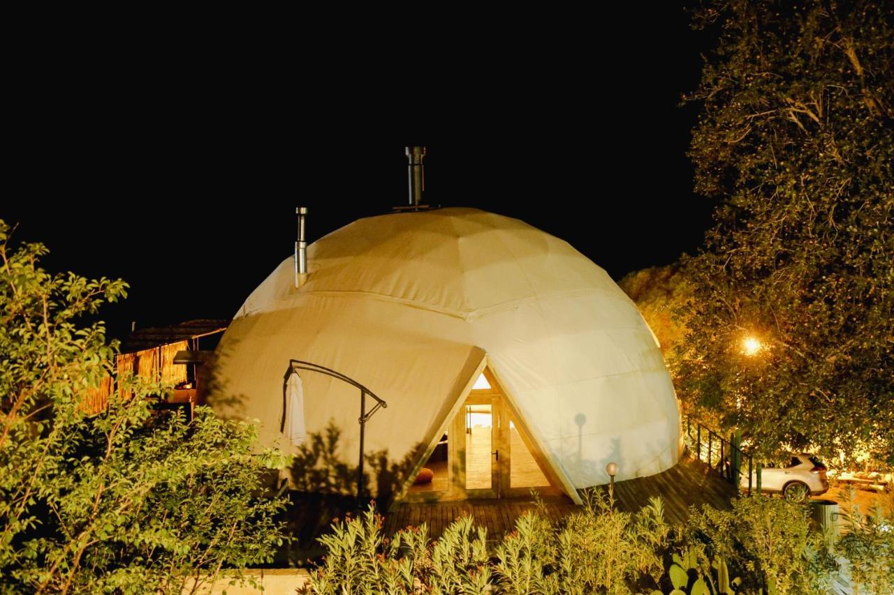 Milodge Elqui Domos Писко Елки Екстериор снимка